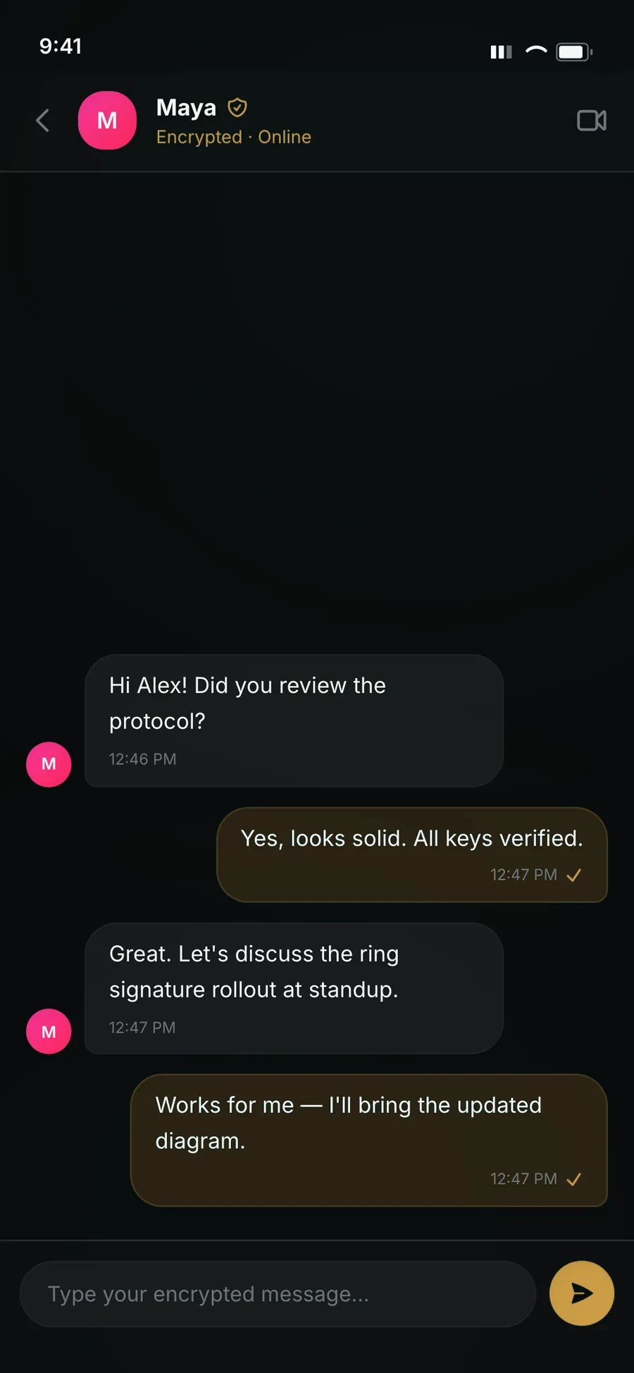 Vault mobile app showing the same encrypted conversation
